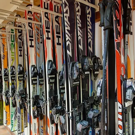 Platinum And Casino 4* Bansko