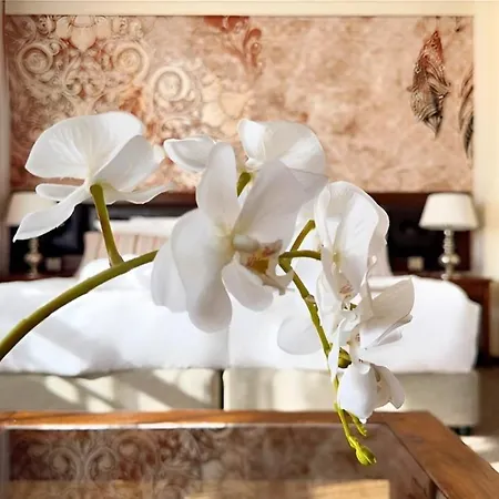 Отель Platinum And Casino 4*